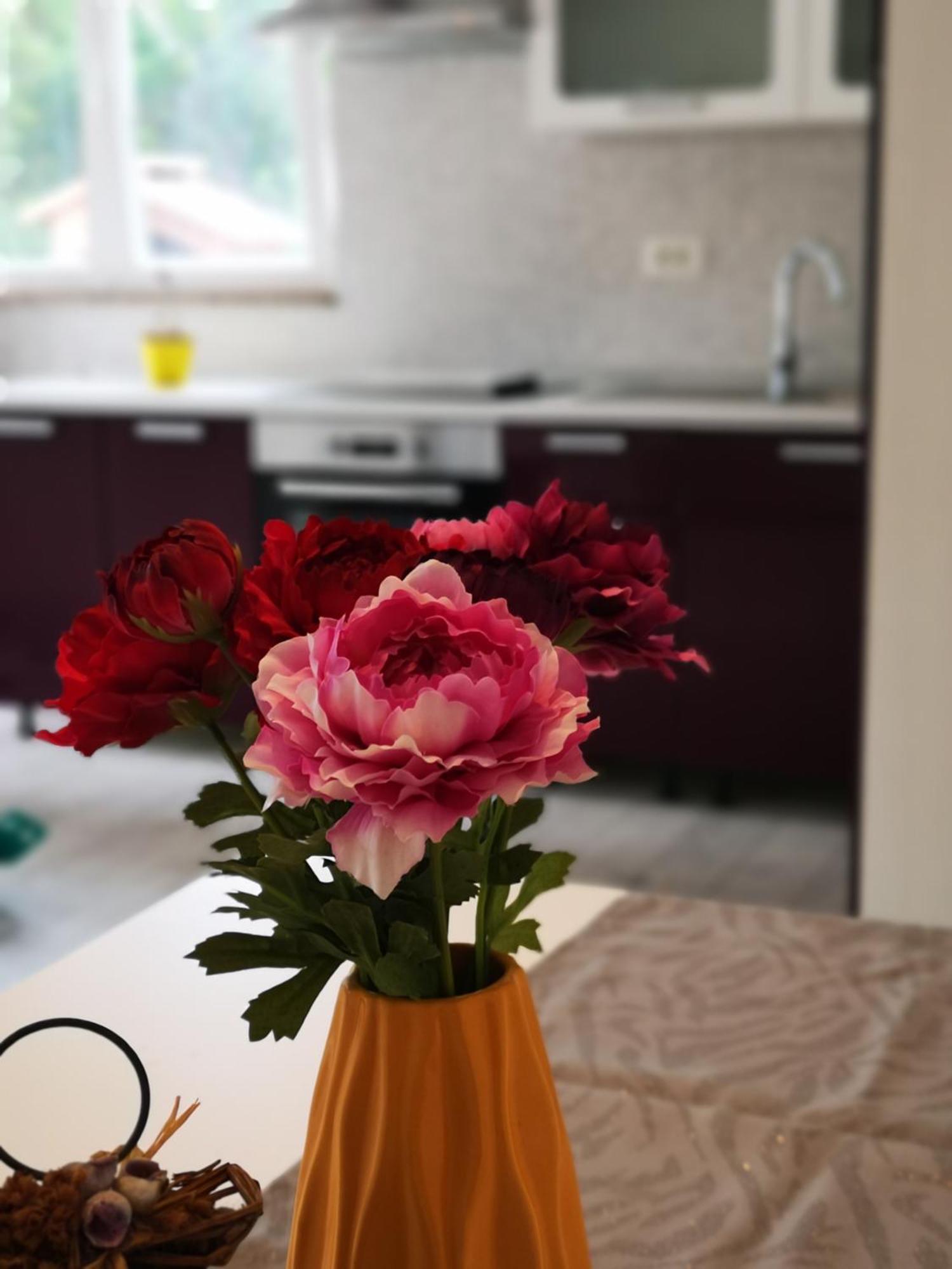Apartmani "Sandro" Gonar Раб Номер фото