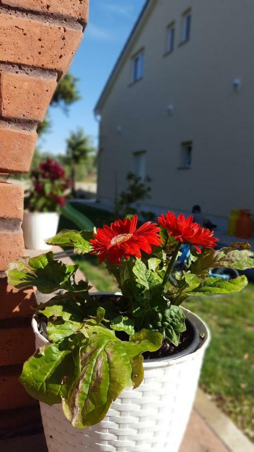 Apartmani "Sandro" Gonar Раб Экстерьер фото