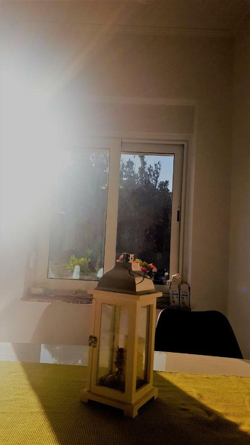 Apartmani "Sandro" Gonar Раб Экстерьер фото